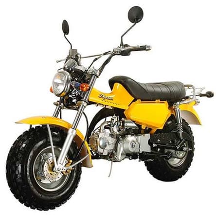 Skyteam T-Rex 125